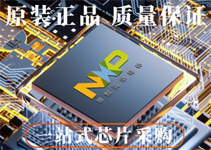 恩智浦MCIMX6Y2CVM08AB单片机的中文参数、应用领域和功能特点