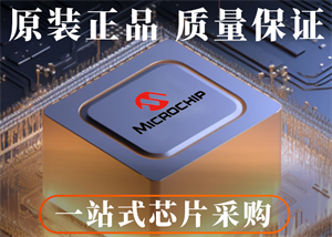 MICROCHIP微芯ATMEGA128A-AU单片机的中文参数、应用领域和功能特点